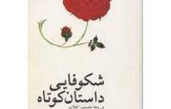 شکوفایی داستان کوتاه در  دهه نخستین انقلاب ایران . صفدر تقی زاده
